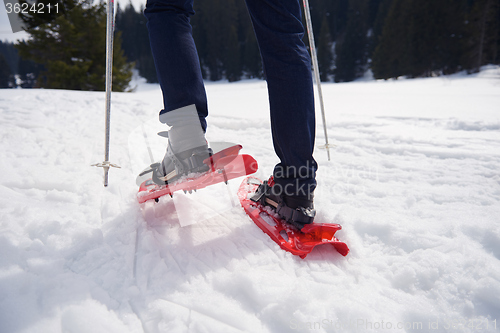 Image of couple having fun and walking in snow shoes