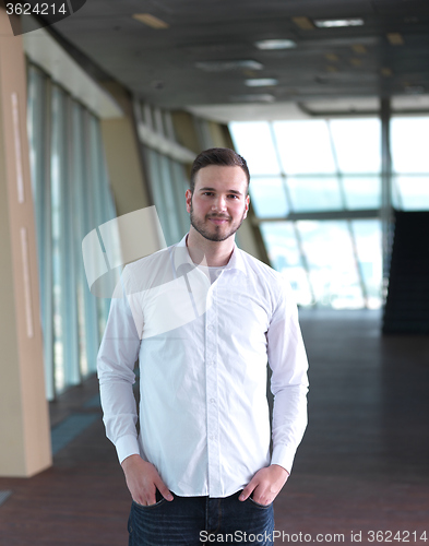 Image of portrait of young  business man with beard at modern office