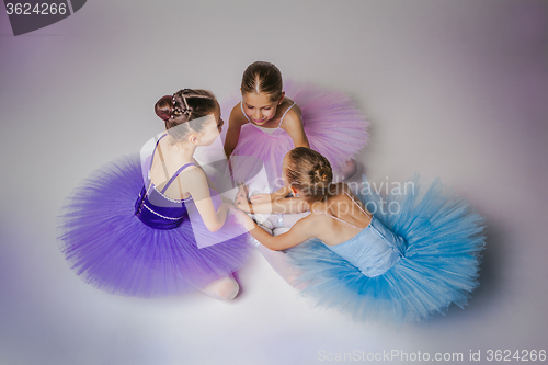 Image of Three little ballet girls sitting in tutu and posing together