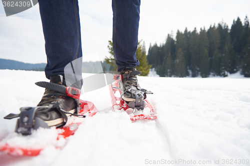 Image of couple having fun and walking in snow shoes