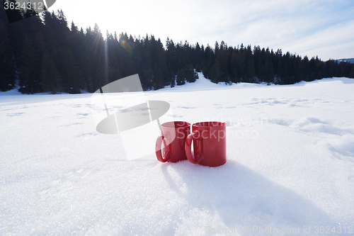 Image of couple having fun and walking in snow shoes