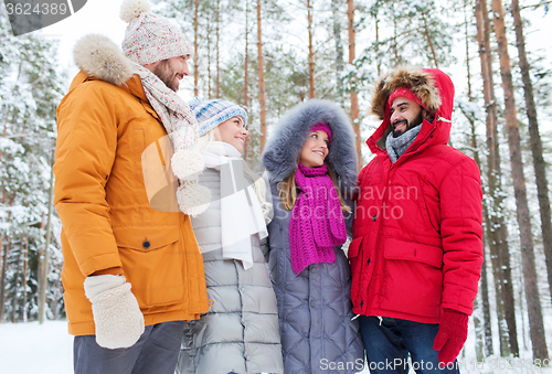 Image of group of smiling men and women in winter forest