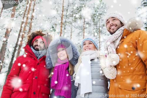 Image of group of smiling men and women in winter forest