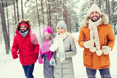 Image of group of smiling men and women in winter forest