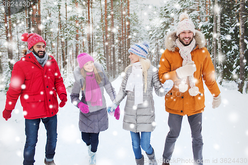 Image of group of smiling men and women in winter forest