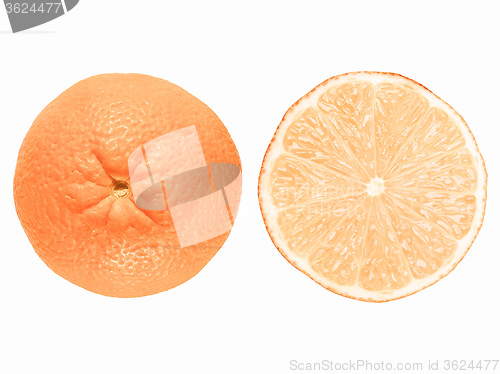 Image of Retro looking Orange fruit