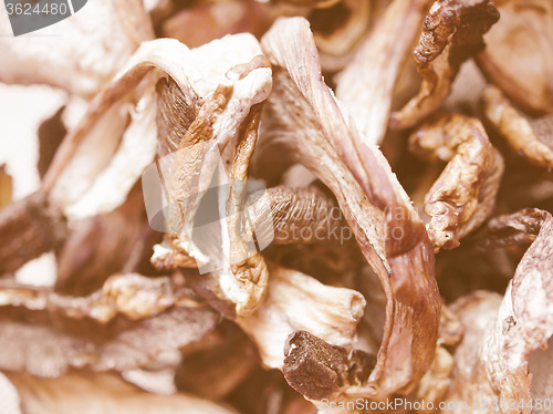 Image of Retro looking Mushrooms picture
