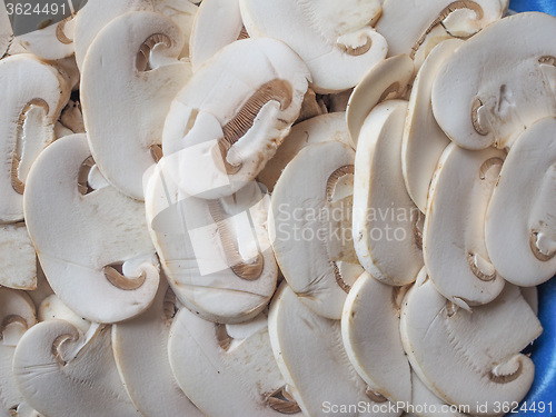 Image of Champignon mushrooms background