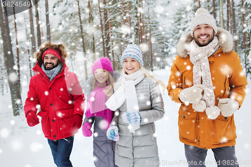 Image of group of smiling men and women in winter forest