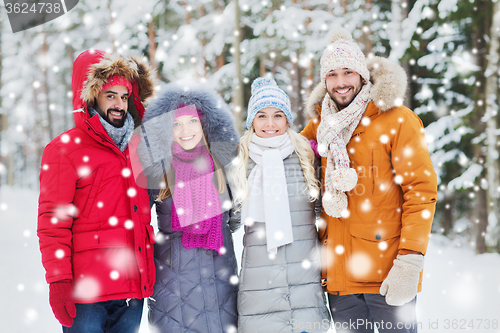 Image of group of smiling men and women in winter forest