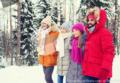 Image of group of smiling men and women in winter forest