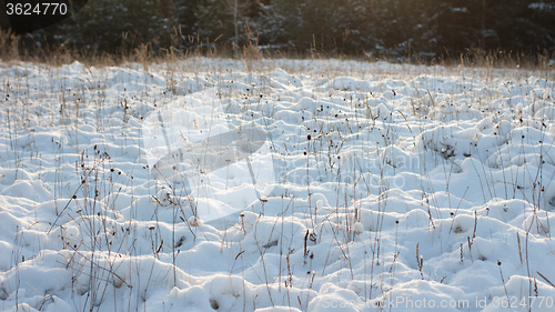 Image of Winter scene