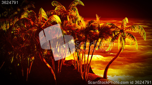 Image of Tropical paradise at night