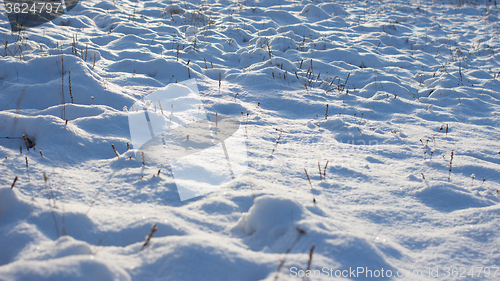 Image of Winter scene