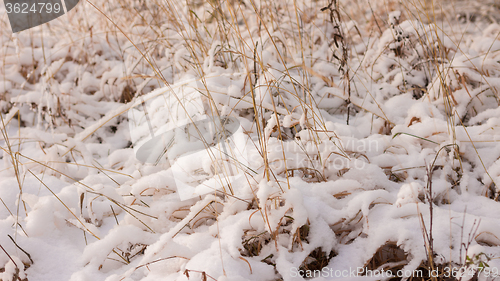 Image of Winter scene