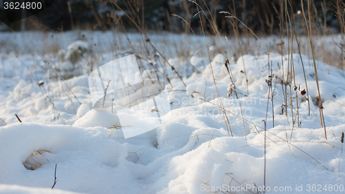Image of Winter scene