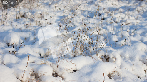 Image of Winter scene