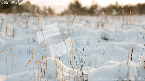 Image of Winter scene