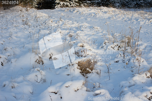 Image of Winter scene