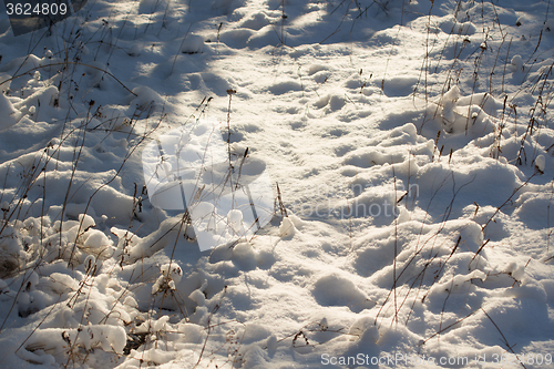 Image of Winter scene