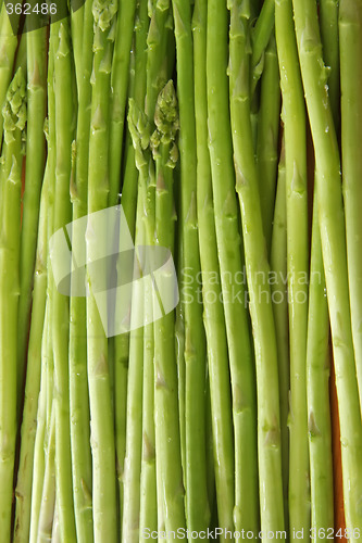 Image of Fresh asparagus