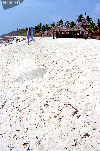 Image of seaweed beach   in zanzibar house    sand isle  sky  and sailing