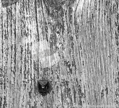 Image of abstract texture of a brown antique wooden old door in italy   e