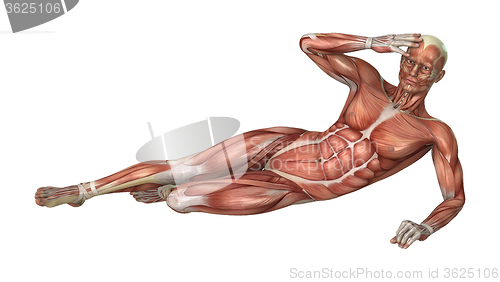 Image of Muscle Maps