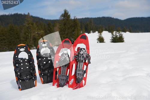 Image of winter snowshoes