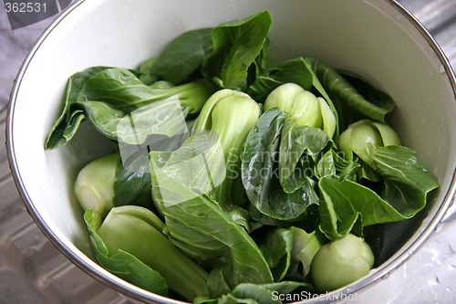 Image of Green vegetables