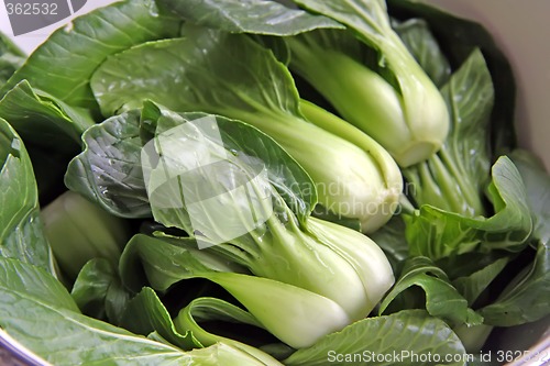 Image of Green vegetables