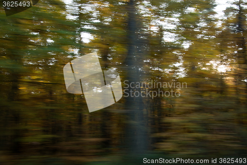 Image of Blurred Autumn Season