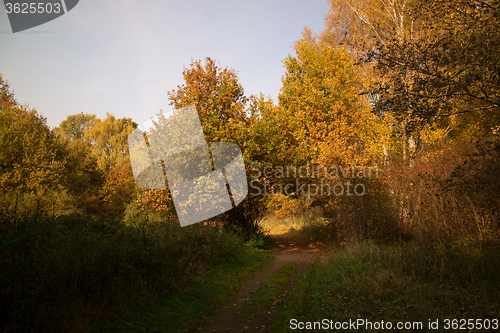 Image of Autumn Season