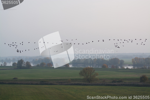 Image of Elbe Valley