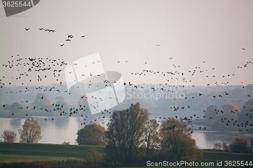 Image of Elbe Valley