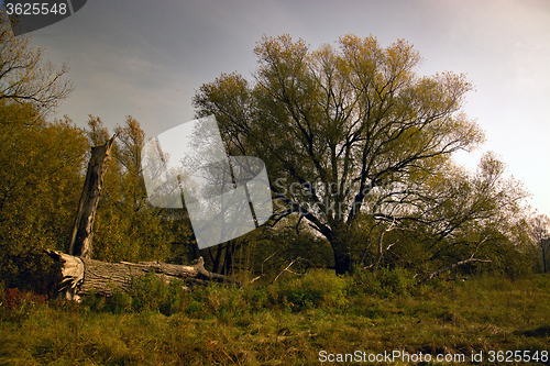 Image of Autumn Season