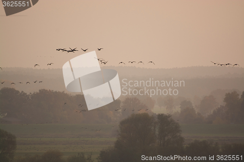 Image of Elbe Valley