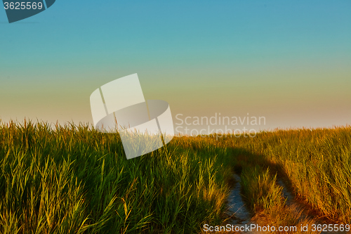 Image of Road-fork in the prairie