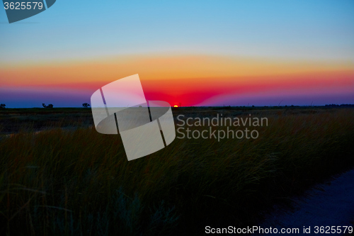 Image of beautiful sunset in steppe 