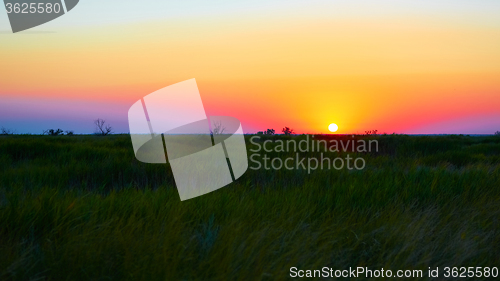 Image of beautiful sunset in steppe 