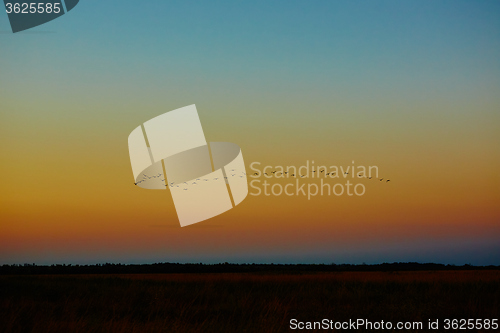 Image of beautiful sunset in steppe 