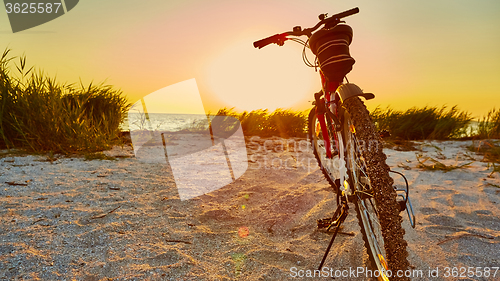 Image of Bicycle at the beach