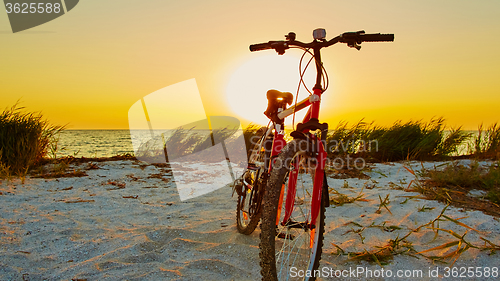 Image of Bicycle at the beach
