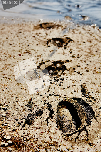 Image of Footprints in the dirt