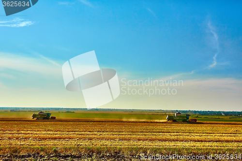 Image of Harvester combine harvesting wheat on summer day.