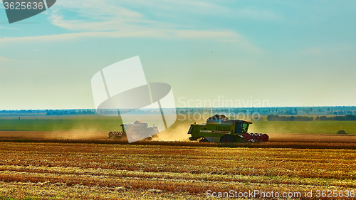 Image of Harvester combine harvesting wheat on summer day.