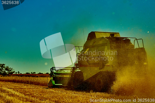 Image of Harvester combine harvesting wheat on summer day.