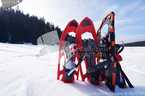 Image of winter snowshoes