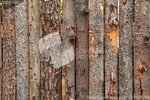 Image of wooden bark texture\r\n