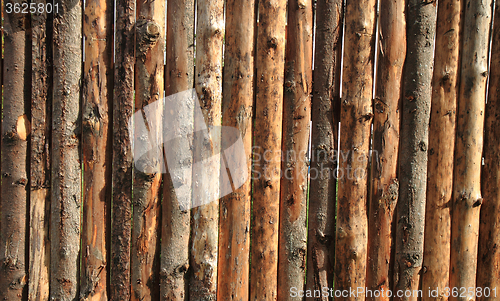 Image of wooden bark texture\r\n